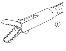 A2421